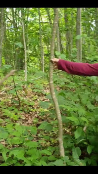 Apabila Dua Wanita Menerokai Hutan