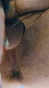 Park and Ride Breeding.