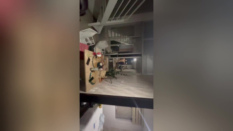 Malelajopez: Omg! Saya fikir dia adalah isteri saya, tetapi saya mengongkek...