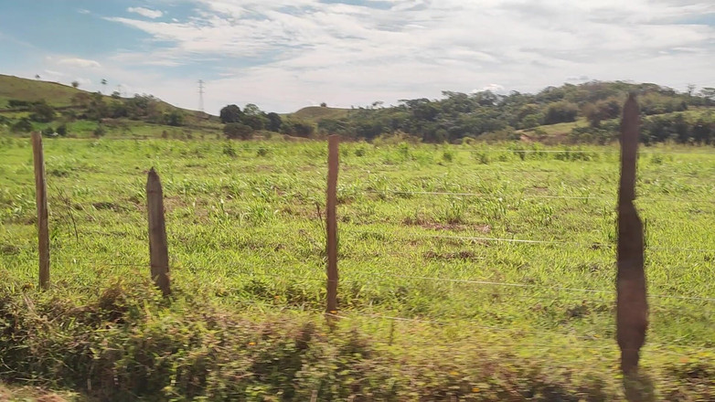 Carmona TS: Jag tvingade henne att suga inne i bilen