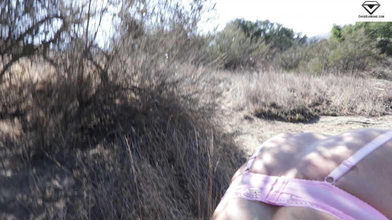 Chad Diamond: Une MILF chasse une cougar avec Beth McKenna
