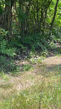 Sie nimmt nach der Motorradfahrt einen Schwanz mit perfektem Hintern