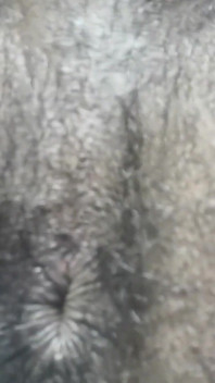 Zblízka můj zadek šukání s Sharpie