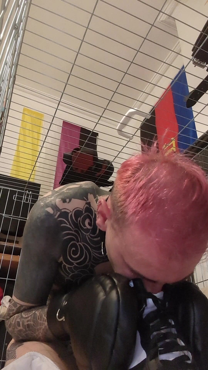 Pupdan: Day 13 of Chastity - Obeying Master Like a Good Sock-sniffing