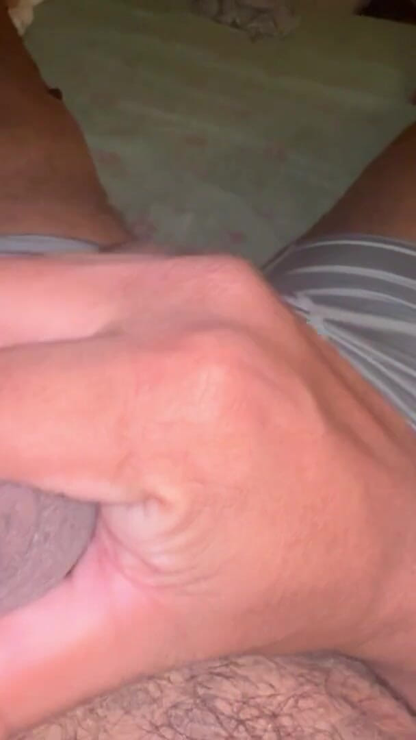 Paja Nocturna (El Gatito)