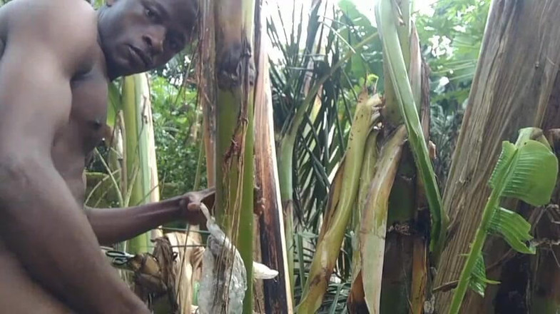 Bangcum8: आदमी जंगल में अकेला है और पौधे के पेड़ को पत्नी बनाता है और उस पर चोदता है