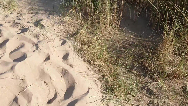 Double-Dutchies: Nederlandse strandneukpartij