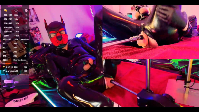 Roman Heart: Doggy Rubber Show