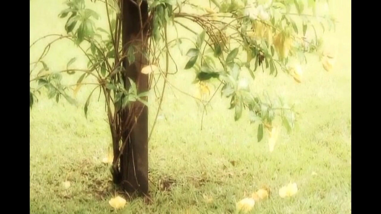 Old PIGS XXX: यह बूढ़ा सुअर युवा कामुक को चोदता है
