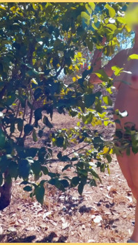 La moglie è bella si spoglia completamente nuda nel parco