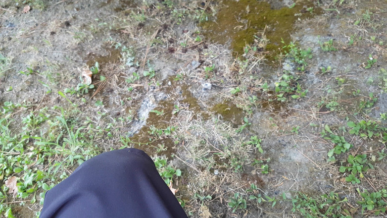 eighteentwink: 18-летнюю чуть не застукали за писающей и дрочащей в парке