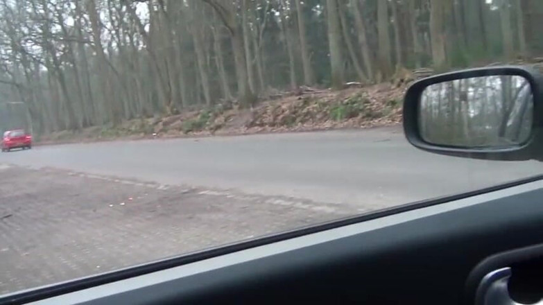 Rocco Siffredi porn: Milf suger kuk i bilen