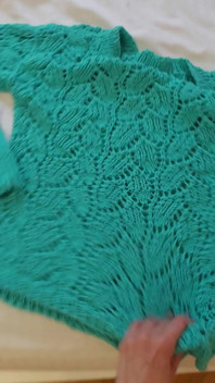 I Knitted Myself a Top and a Sweater, Bragging