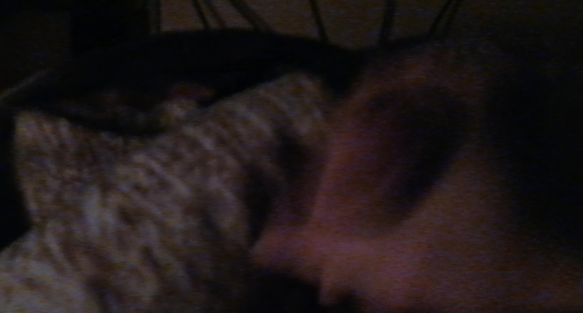 Horny Boy 18 year: Teen Cums