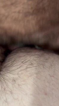 Sterke puppy neukt zijn twee beren