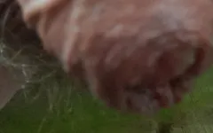 Masturbation im freien