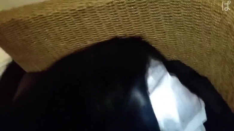 Asian cutie: Asijský anděl 14505