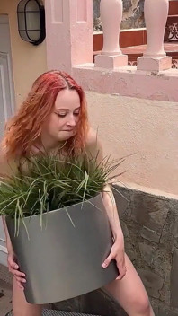 Desperate Housewives พารอดี้ตอนที่ 3