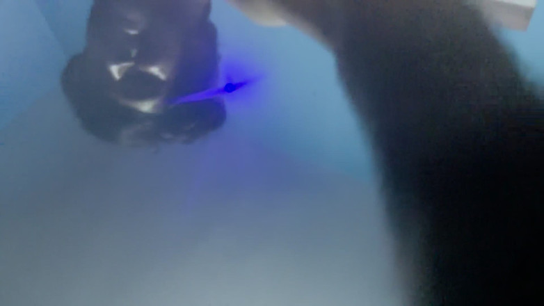 Sexy taniya ki Chut dekho or sexy pose bhi: Справжнє повне відео з бхабхі, романтичне відео, камшот