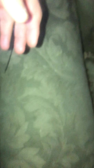 Brezzo: Big Dick