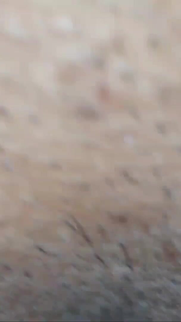 Anu4sum: Akeli Bhabhi Ko Dekh Kar Uske Devar Ne Ki Chudai