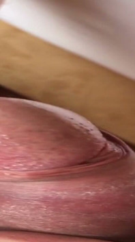 My Cock