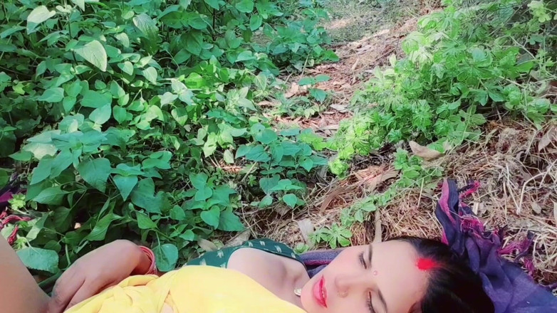 Renudbf: Mangal indiana india nella giungla