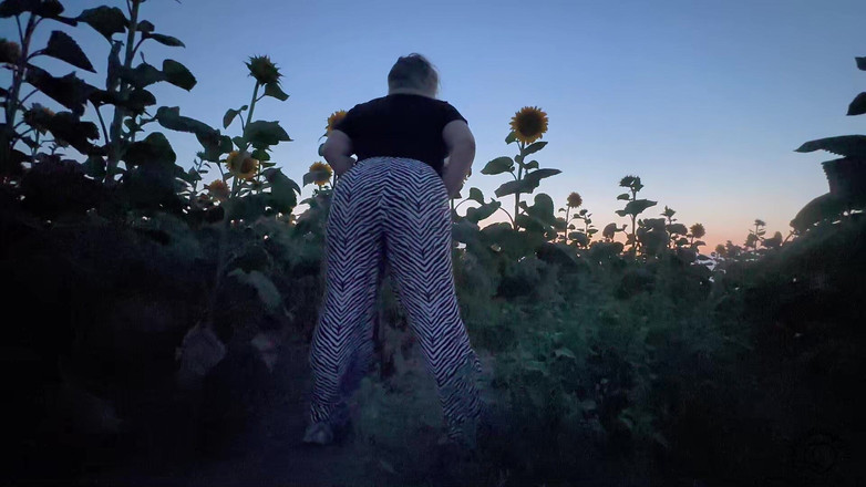 Your fantasy studio: Sunshine fart drottning - fält av stinka blommor