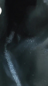 马厩男孩现在你在嗅我的靴子，POV，JOI，维多利亚·瓦伦特夫人