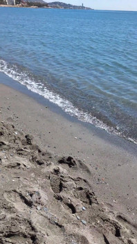 Beach Topless Sunbathing