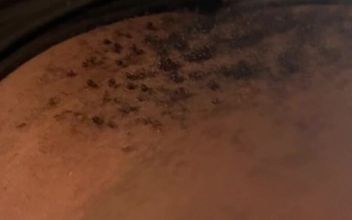 Big Boobed Delivery Slut Plays with My BBC