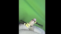 Bestmaleorgasm: Triphase Eruption