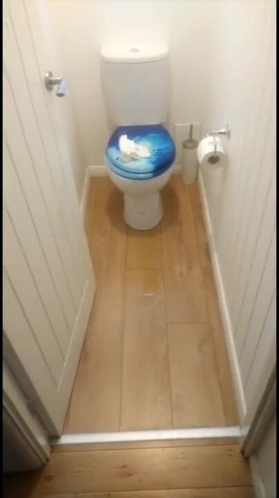 BeautifulGoldenBabe: Pee on toilet seat compilation