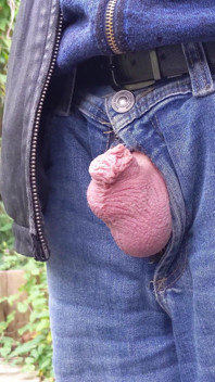 Kontol kecil makin besar dan muncrat di luar ruangan, jaket kulit dan celana jins - rockard daddy