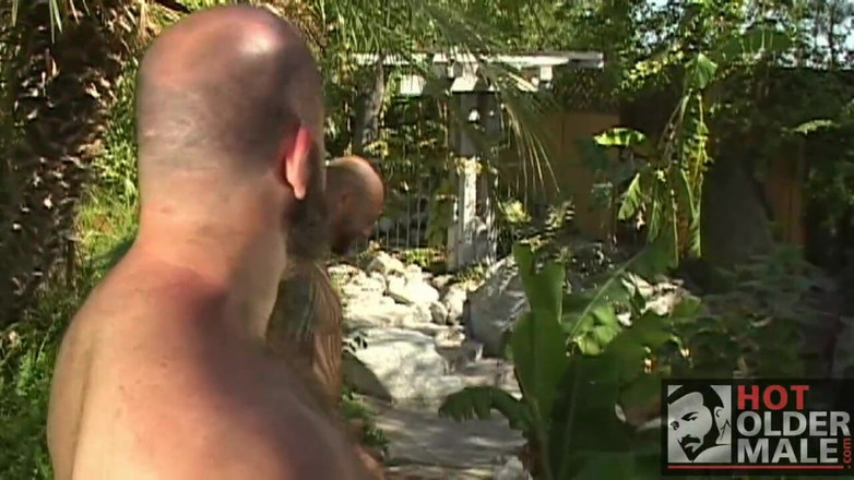 Pantheon men: Beruang Oasis Dan dan Jeff