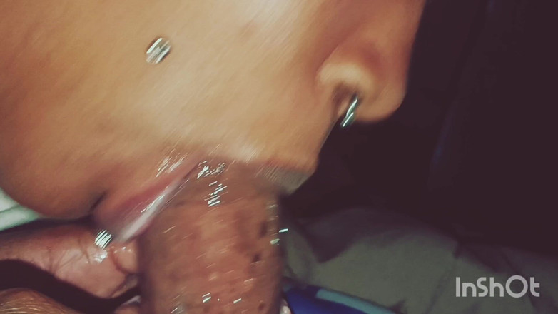 The Nasty House: スロート・クロニクルズ Vol 1