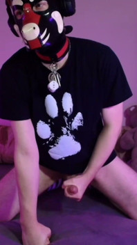 Playful Pup Cant Stop Playing with His Bone