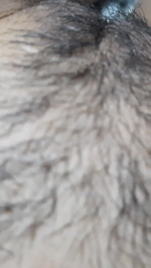 creamberryfairy: Kamu Suka Dicukur atau Berbulu?