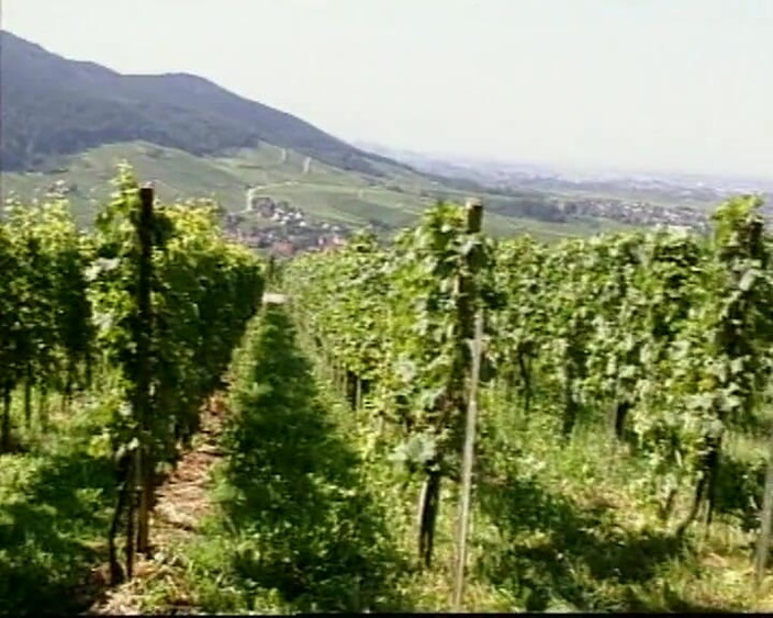 90s Vintage Taboo: Fute-mi pizda tare # 1