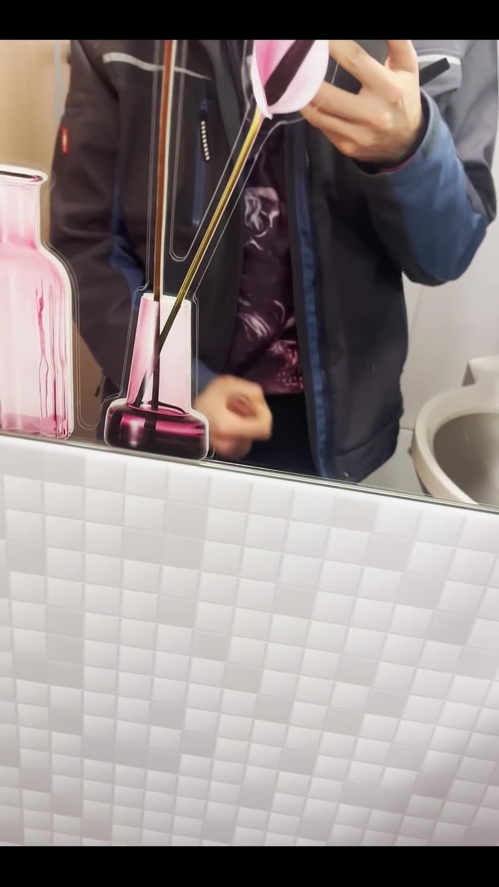 Caruso Rainbow: 電車のトイレでちょっとした休憩