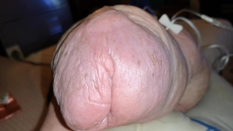 Monster_Meat_: Cockzilla S kembali selepas menambah glukosa 2liter