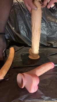 Slut Training Session