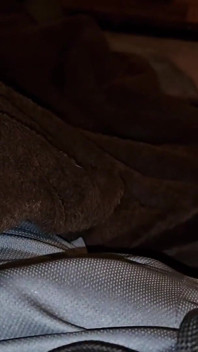 fucking My Shorts and Staining Them with Precum, for All of You Bulge Lovers