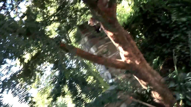 Deutschland Porno X: 18세 금발 소녀는 정원에서 쓰리섬을 원한다