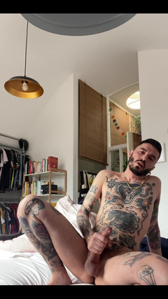 Stallion papi: Honění Tatto