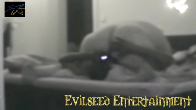 Evilseed Entertainment: Blonde Teen Gets Wlucio Marave Black Cock