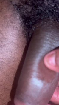 Pornstar Guy