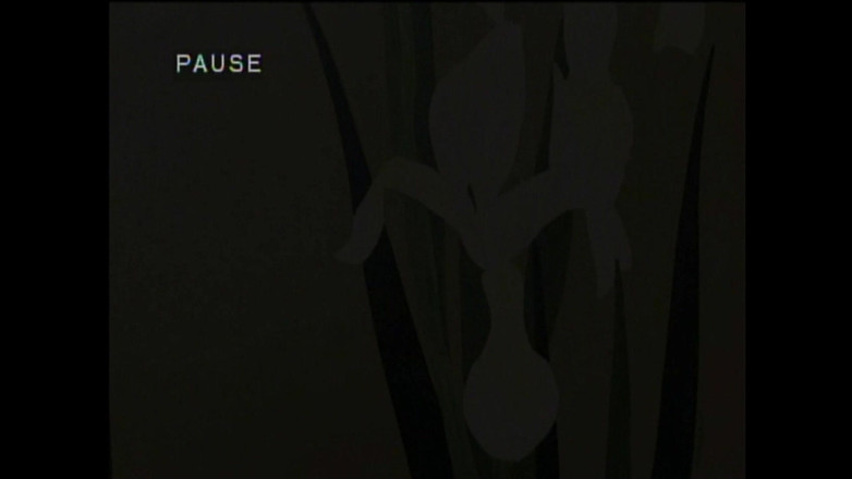 FM Video Europe: Annie Body De Gekke Magere