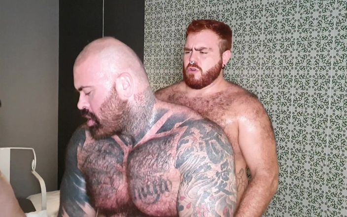 ScruffyStocky: Beefy Bears учотирьох