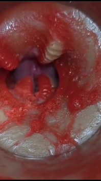 Kompilasi memek crempie terbaik - kamera di dalam 4k